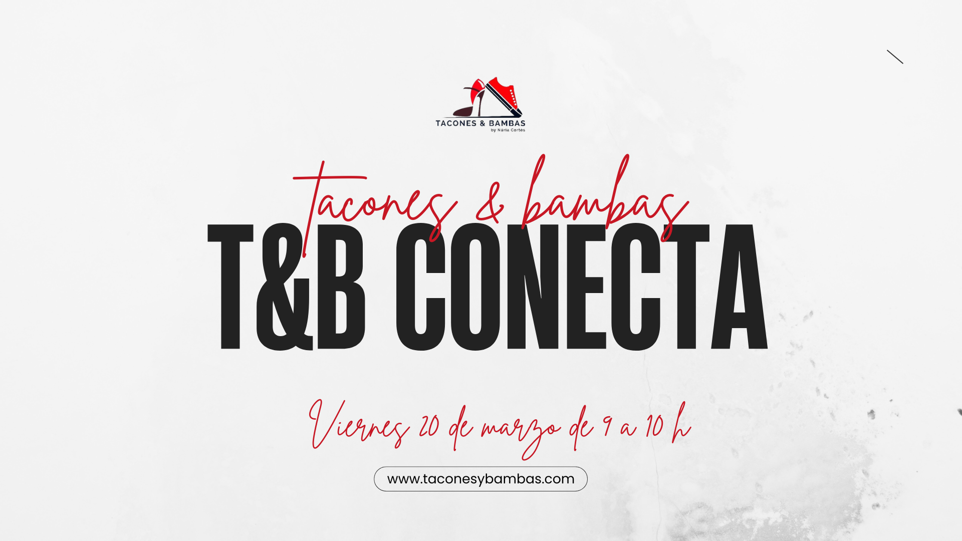 T&B CONECTA : NETWORKING ONLINE